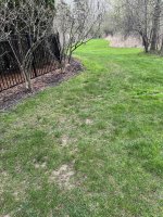 Side reseeding (small).jpeg
