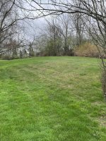Slope reseeding (small).jpeg
