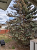 PXL_20250407_223434502[1].jpg