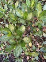 IMG_7407.jpeg