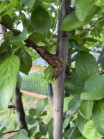 IMG_0417.jpg