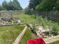 IMG_8706.jpeg