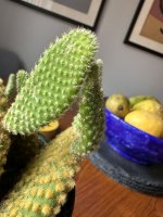 IMG_3457.jpeg