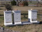 Bee hives.jpg