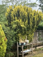 IMG_3808.jpeg