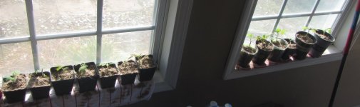 heatmaster window sill.JPG