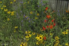IMG_3905 copy.jpg