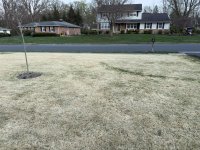 IMG_1006.jpg