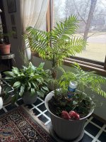 IMG_7987.JPEG