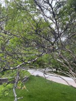 IMG_7578.jpeg