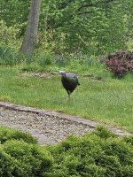 20260505_105600.jpg