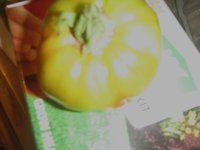 tomato.JPG