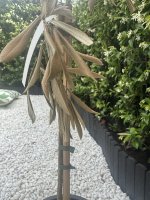 IMG_9605.jpeg