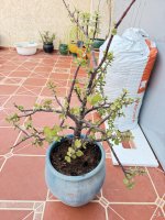 IMG_2605.jpeg