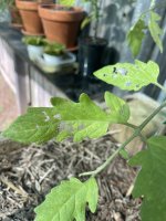 IMG_1862.jpeg