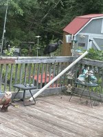 IMG_5993.jpeg