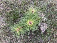 IMG_0176.jpeg