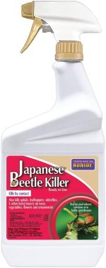 jap beetle.jpg jap beetle.jpg