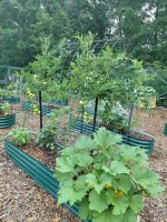 Garden2026-2.jpg