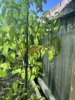 IMG_5151.jpeg