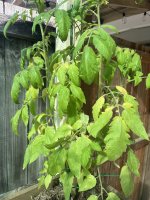IMG_5150.jpeg