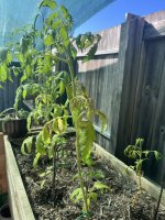 IMG_5152.jpeg