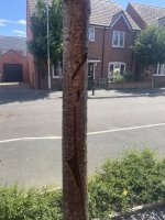 IMG_2633.JPEG