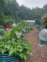 Garden2026-1.jpg