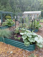Garden2026.jpg