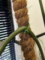 IMG_9132.jpeg