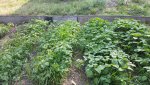 20160526_173601.jpg