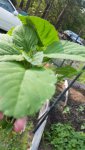 20160526_173629.jpg