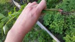20160526_173644.jpg