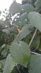 20160616_080137.jpg