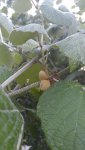 20160616_080131.jpg