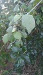 20160616_080144.jpg