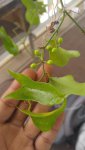 20160616_091334.jpg