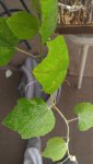 20160616_091355.jpg