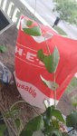 20160616_091450.jpg