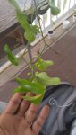 20160616_091340.jpg