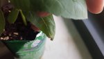 20160619_171800.jpg 20160619_171800.jpg