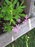 20160528_140122.jpg