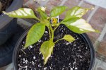 20160717_180045.jpg