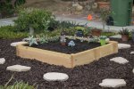 Backyard renovation succulent garden.jpg