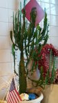 20161117_114036.jpg