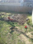 IMG_20170302_141827.jpeg IMG_20170302_141827.jpeg