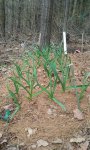 20170419_125558.jpg