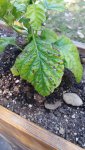 20170430_105135.jpg