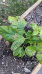 20170430_105131.jpg