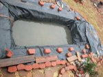 new pond 007.JPG